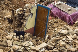 nepal-earthquake -capra